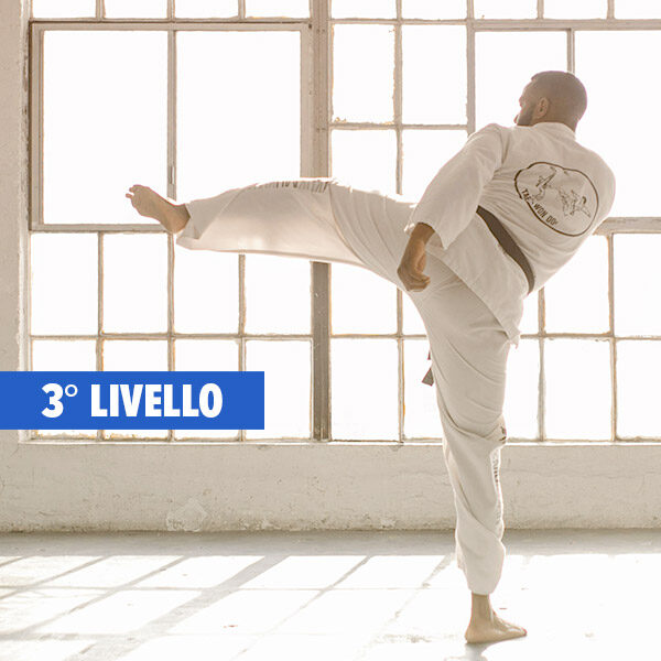 PREPARATORE-ATLETICO-KARATE-3-livello