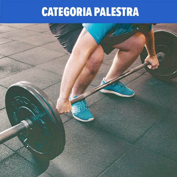 categoria-palestra-fiams